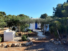 Villa Debora Favignana (TP), Favignana